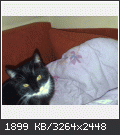 27139213.gif