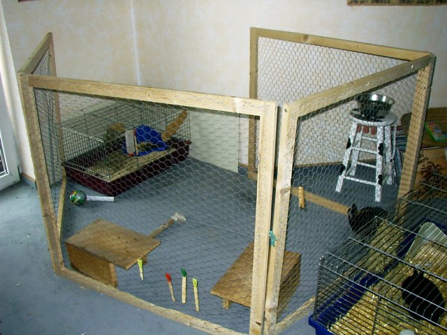 388316IMAG0002.jpg